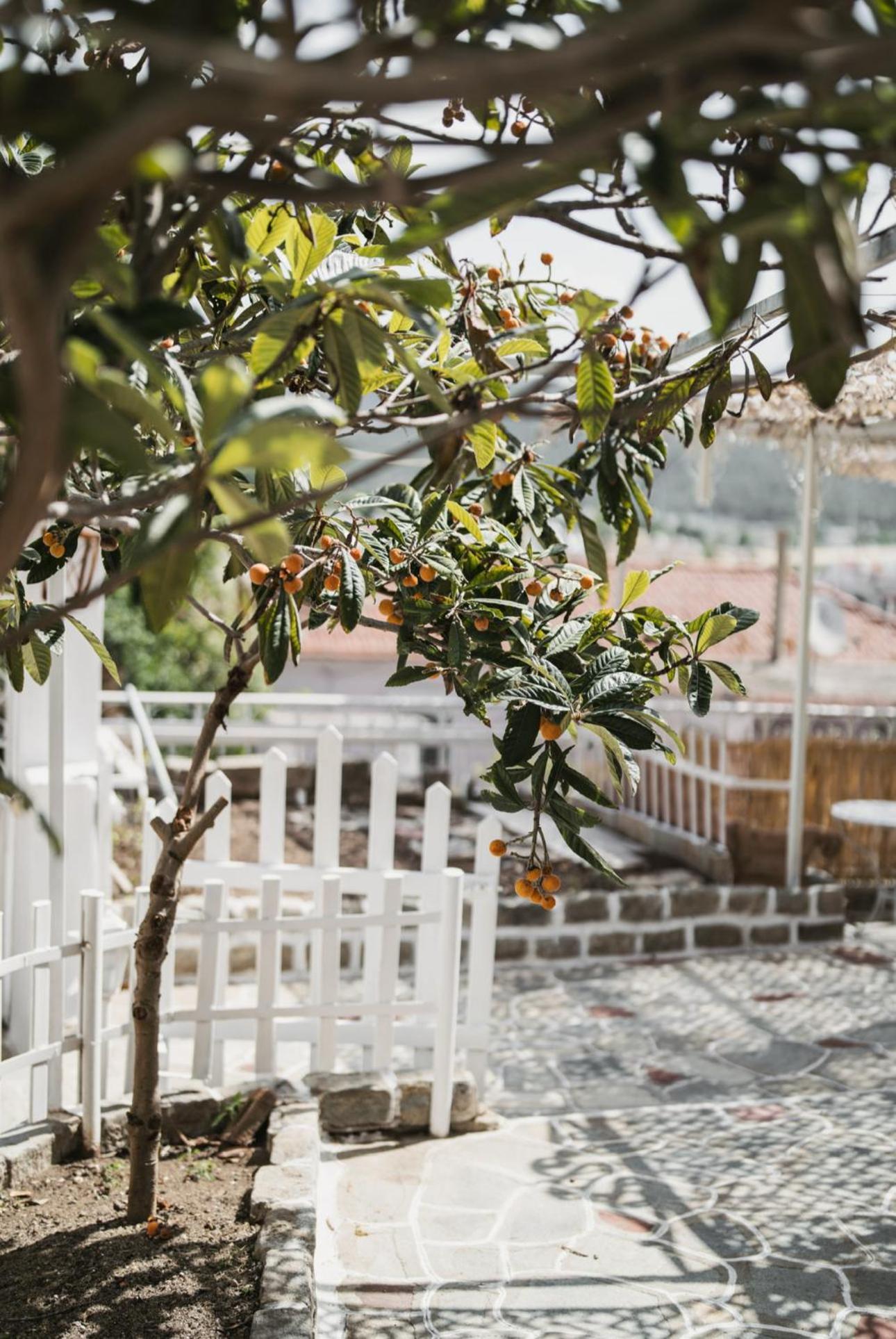 The Garden House Apartment Kavala Exterior photo